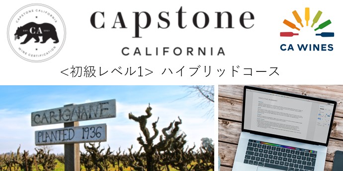 キャップストーン・カリフォルニア 初級レベル1