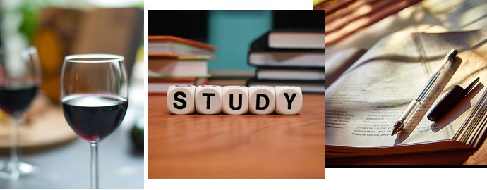 Diploma Study Session vol.61 -川口編- (Online Seminar)