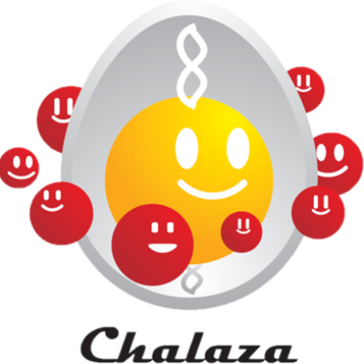 chalaza