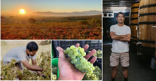 Due Punti Vineyards