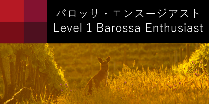 Level 1 Barossa Enthusiast
レベル１ バロッサエンスージアスト