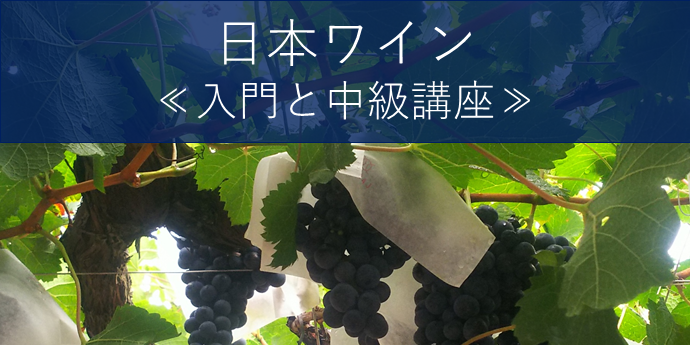 日本ワイン