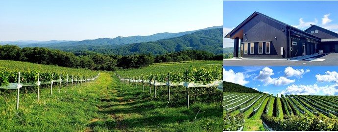 福島県 『かわうちワイナリー』