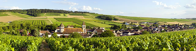 Discovering Bourgogne Wines