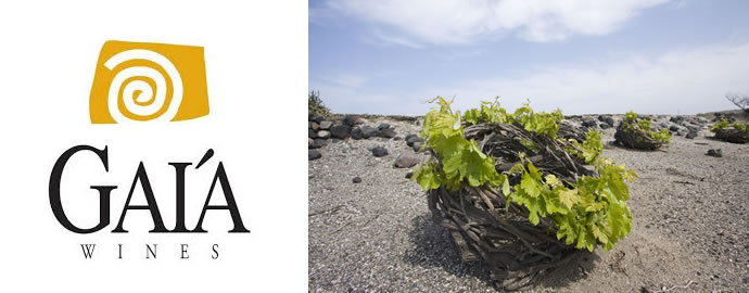 Gaia Wines による再思考のネメア・サントリーニ島