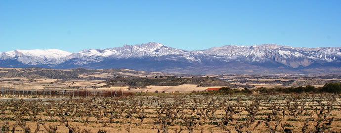 WSET Diploma Study for Unit 3: Session 12 -Spain-