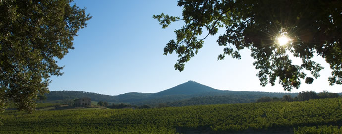 WSET Diploma Study for Unit 3: Session 15 -Toscana-