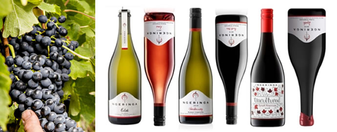 南オーストラリアより「NGERINGA」来日特別ワインセミナー