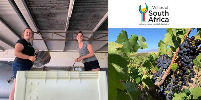 Spectacular South Africa Wine!