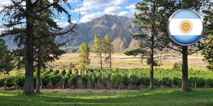 Argentina Wine Masterclass
