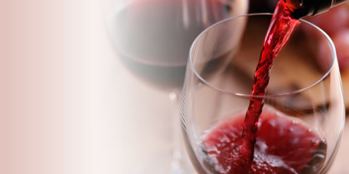 ★2 Days Course★ WSET® Level 1 <beginner Course>
