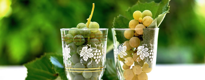 ワインの豆知識：マリオ・スキオペット、白ワイン醸造の革新者