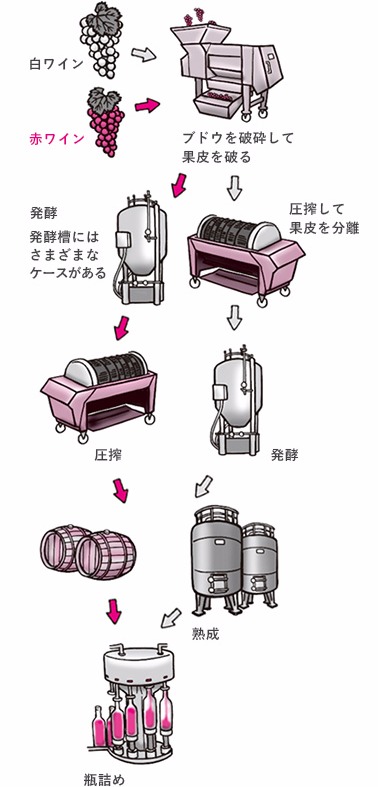 ワインの醸造