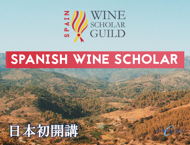 Spanish Wine Scholar