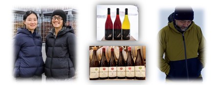 WSET Level 2,3