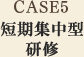 CASE5短期集中型研修