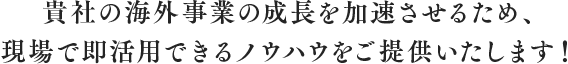 貴社の海外事業の成長を加速させるため、現場で即活用できるノウハウをご提供いたします！