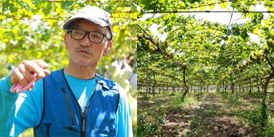 日本ワイン研究科~山梨・塩山 KISVIN ワイナリー訪問 現場を知って本質を学習する~